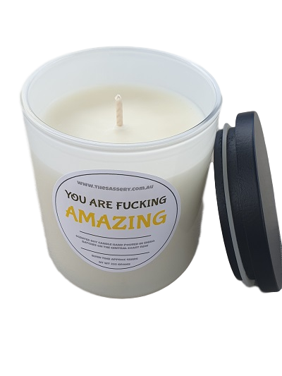 Candle - You Are Bleeping Amazing!